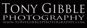 Tony Gibble Photography